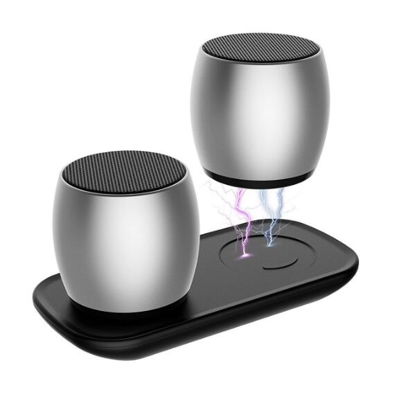 Dual Speaker with Charging Base