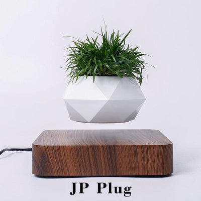 Home - Magnetic Levitation Suspension Flower Floating Pot Decor